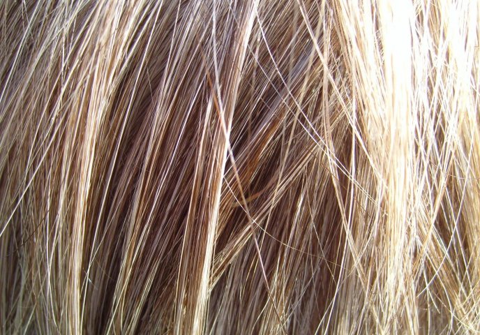 What Is Hair Really?